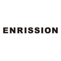 enrission india pvt ltd logo image