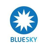 blue sky capital strategies logo image