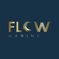 flow marine ltd logo image