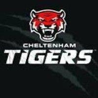 cheltenham tigers rfc logo image