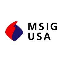 msig usa logo image