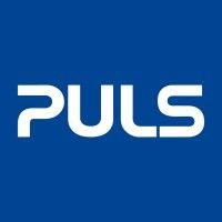 puls group logo image