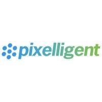 pixelligent technologies logo image