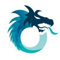 dragon information systems limited logo image