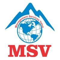 msv international, inc.