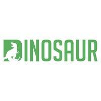 dinosaur financial group, llc logo image