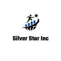 silver star logo image