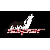 honson group electronic co., ltd logo image