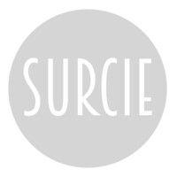 surcie logo image