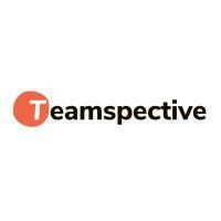 teamspective