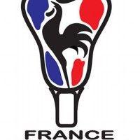 association of france lacrosse (afl) logo image