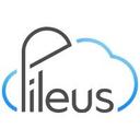 logo of Pileus