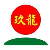 玖龙纸业 logo image