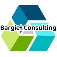 jakub bargieł consulting logo image