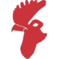 red rooster data analytics logo image