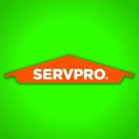 servpro team paparone logo image