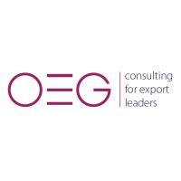 oeg consulting logo image