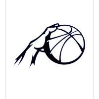 limitless international basketball logo image