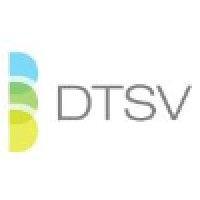 dtsv, inc.