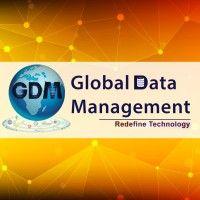 global data management inc logo image