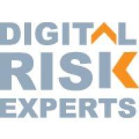 digital risk experts logo image