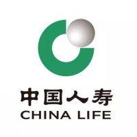 china life insurance co.ltd logo image