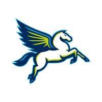 dallas wings logo image