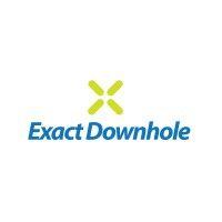 exact downhole as logo image