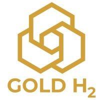 gold h2 logo image