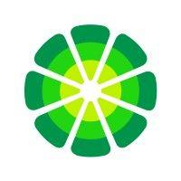 limewire logo image