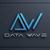 datawave ltd logo image