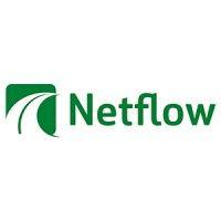 netflow logo image