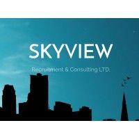 skyview recruitment & consulting logo image