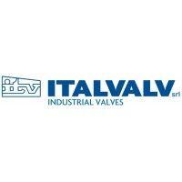 italvalv srl logo image