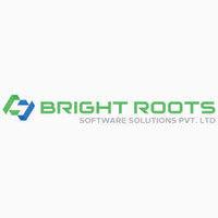 bright roots software solutions pvt. ltd.