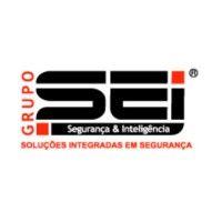 grupo sei segurança e inteligência logo image