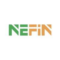 nefin 立盈 logo image