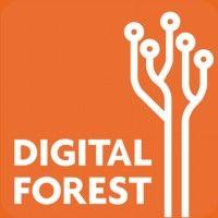 digital forest logo image