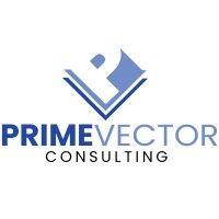 prime vector consulting services llc logo image