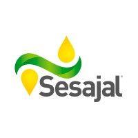 grupo sesajal® logo image