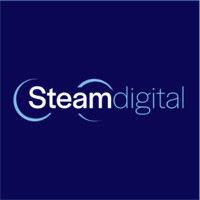 steam digital logo image