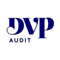 dvp | dr. voigt & partner logo image