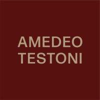 amedeo testoni logo image