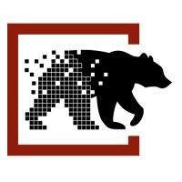 brown bear digital logo image