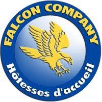 falcon company logo image