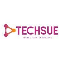 techesue - usa logo image