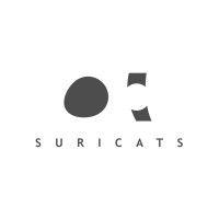 suricats consulting logo image