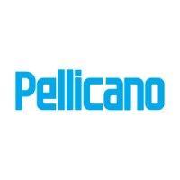 pellicano logo image