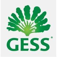 gess - german european school singapore logo image