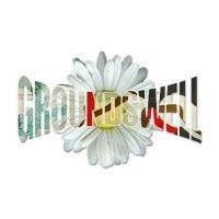 groundswell – design & media production logo image